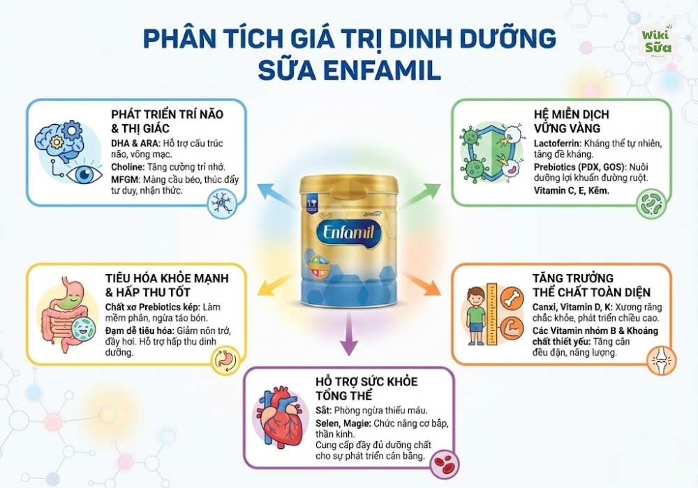 Thành phần dinh dưỡng giúp bé tăng cân hiệu quả 