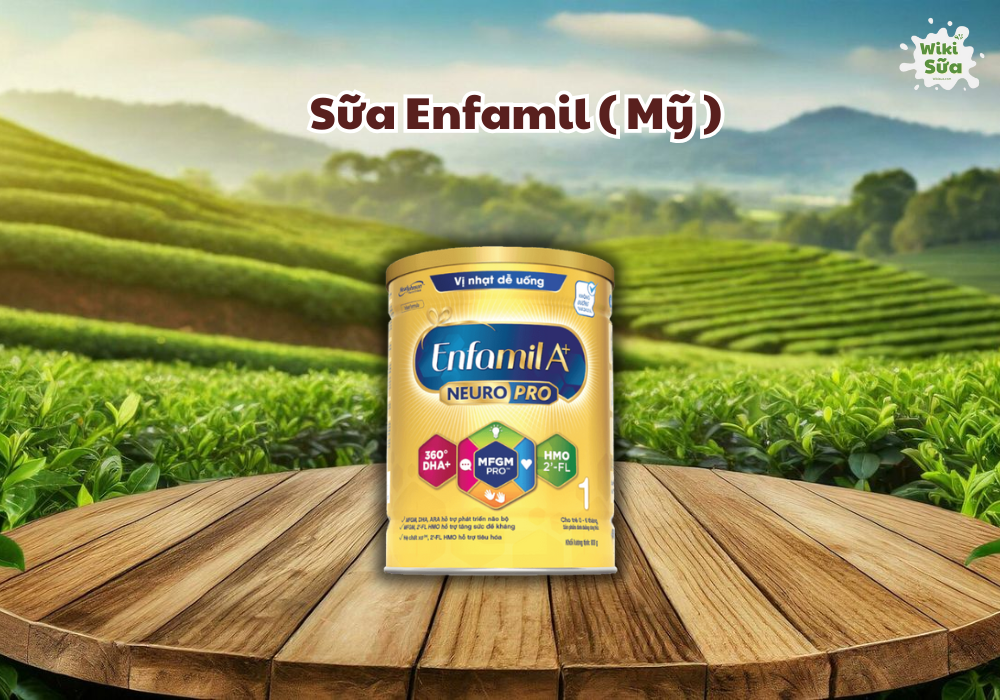 Sữa Enfamil A+ Mỹ 