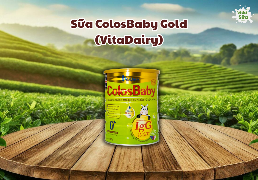 Sữa ColosBaby Gold (VitaDairy) 