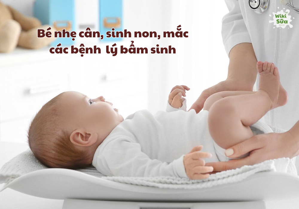 Bé sinh non, nhẹ cân, hay gặp các bệnh lý bẩm sinh 