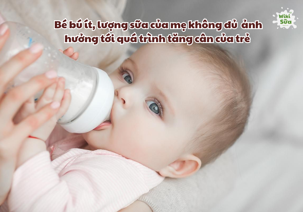 Mẹ ít sữa, bé bú ít ảnh hưởng tới quá trình tăng cân của trẻ