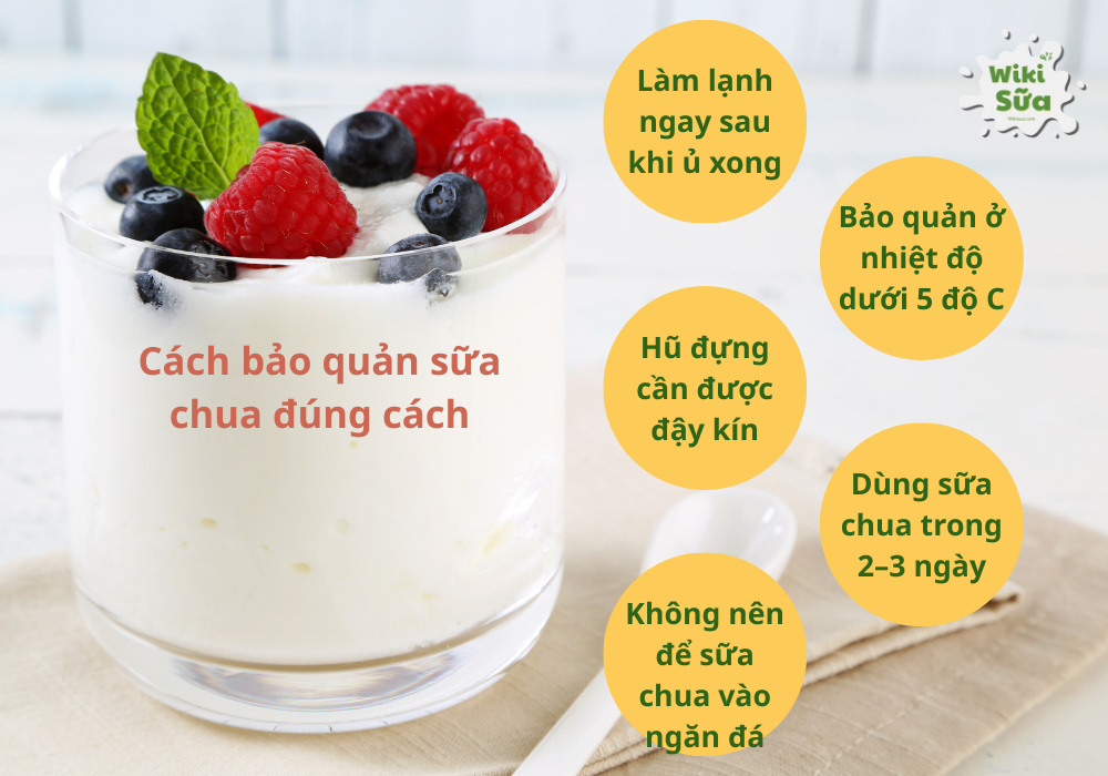 Cách bảo quản sữa chua đúng cách 