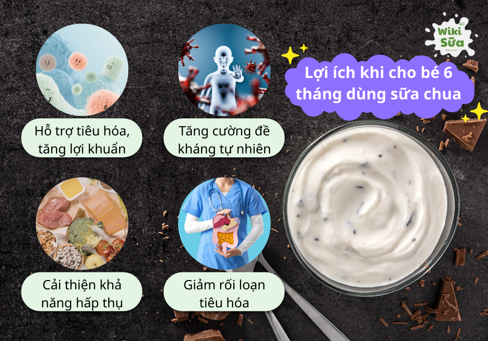 Lợi ích khi cho bé 6 tháng dùng sữa chua 