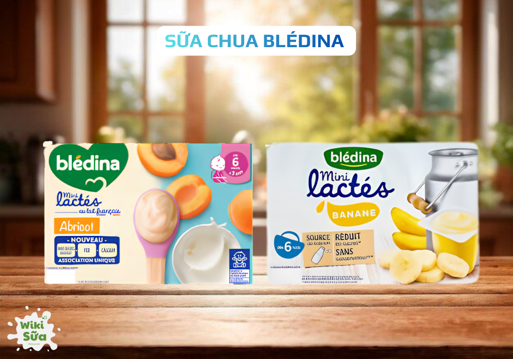 Sữa chua Blédina 