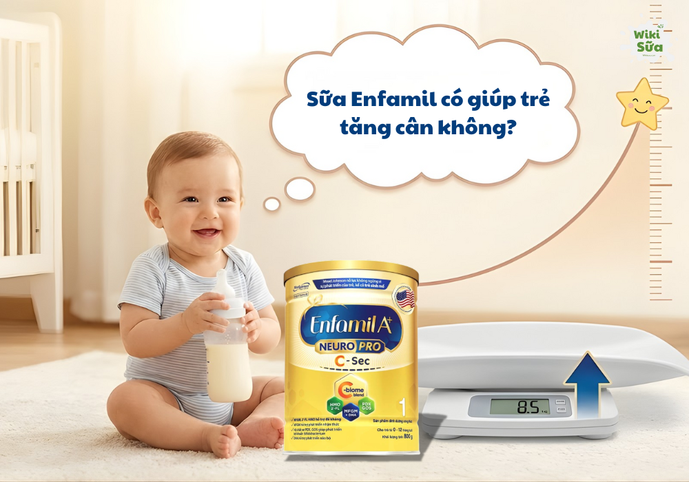 Sữa Enfamil giúp trẻ tăng cân hiệu quả