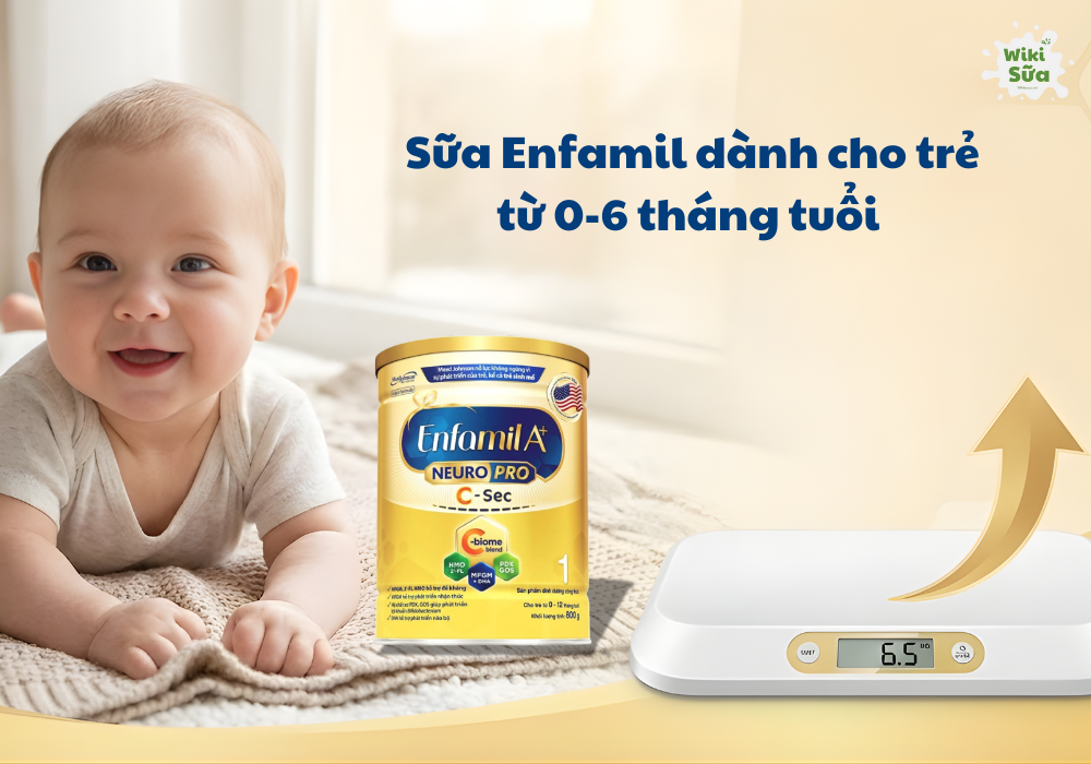 Sữa Enfamil dành cho trẻ từ 0-6 tháng tuổi 