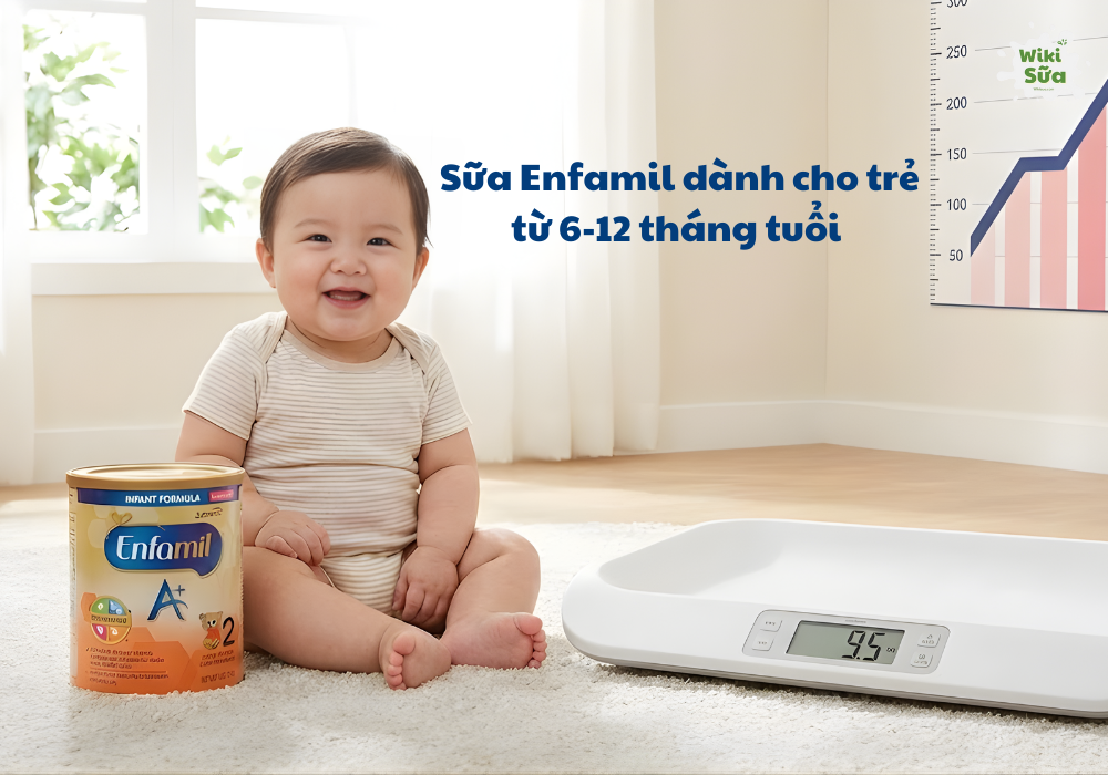 Sữa Enfamil dành cho trẻ từ 6-12 tháng tuổi