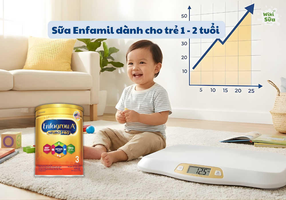 Sữa Enfamil dành cho trẻ từ 1-2 tuổi 