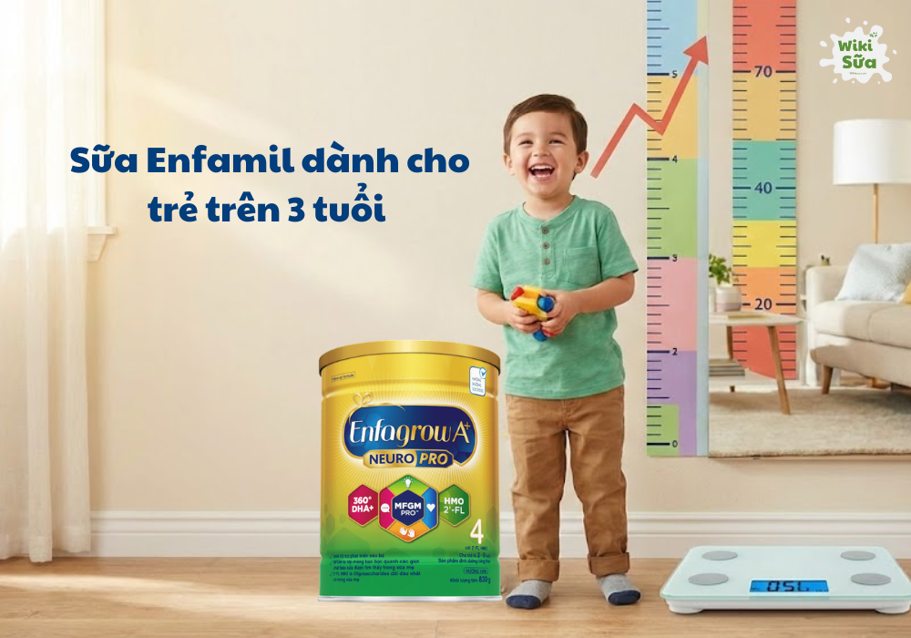 Sữa Enfamil dành cho trẻ từ 3 tuổi trở lên