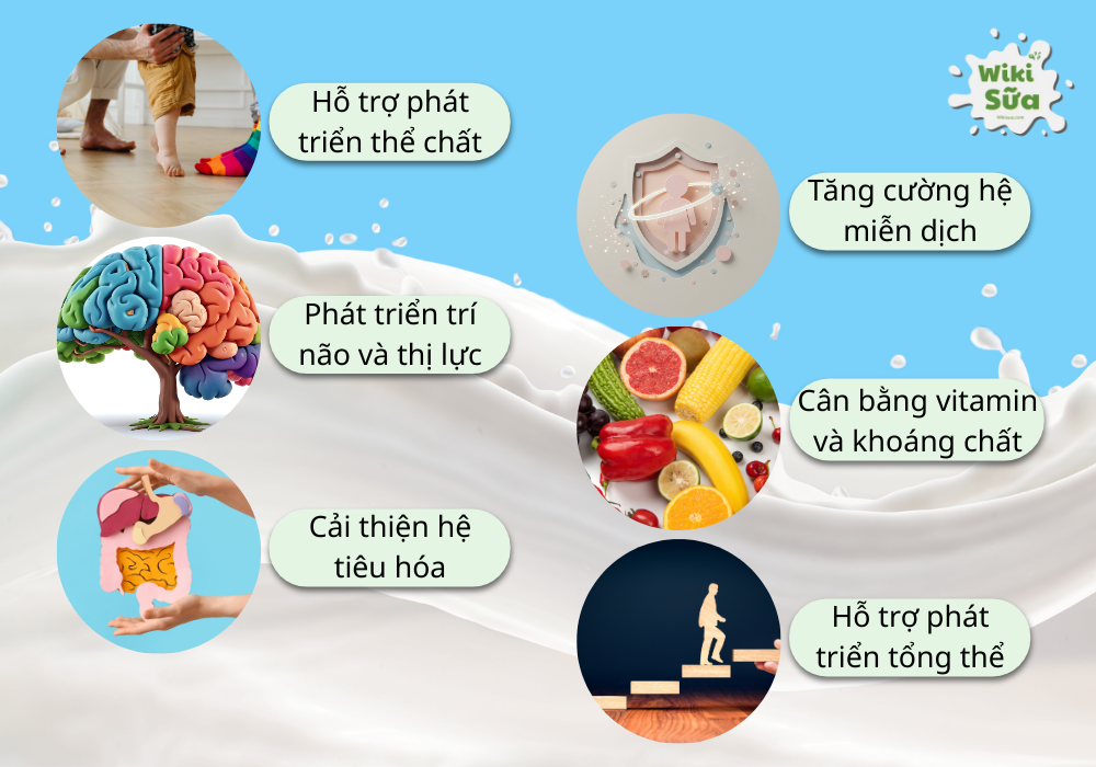 Lợi ích nổi bật của sữa Frisolac Gold 3 đối với trẻ 1 tuổi