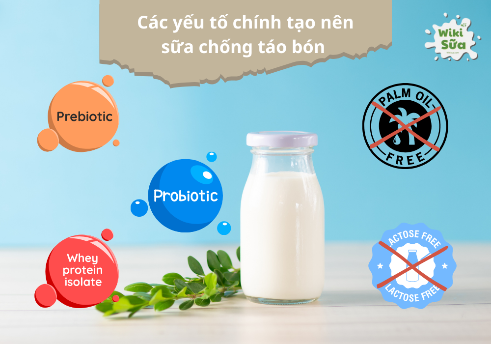 Các yếu tố chính tạo nên một loại sữa chống táo bón hiệu quả