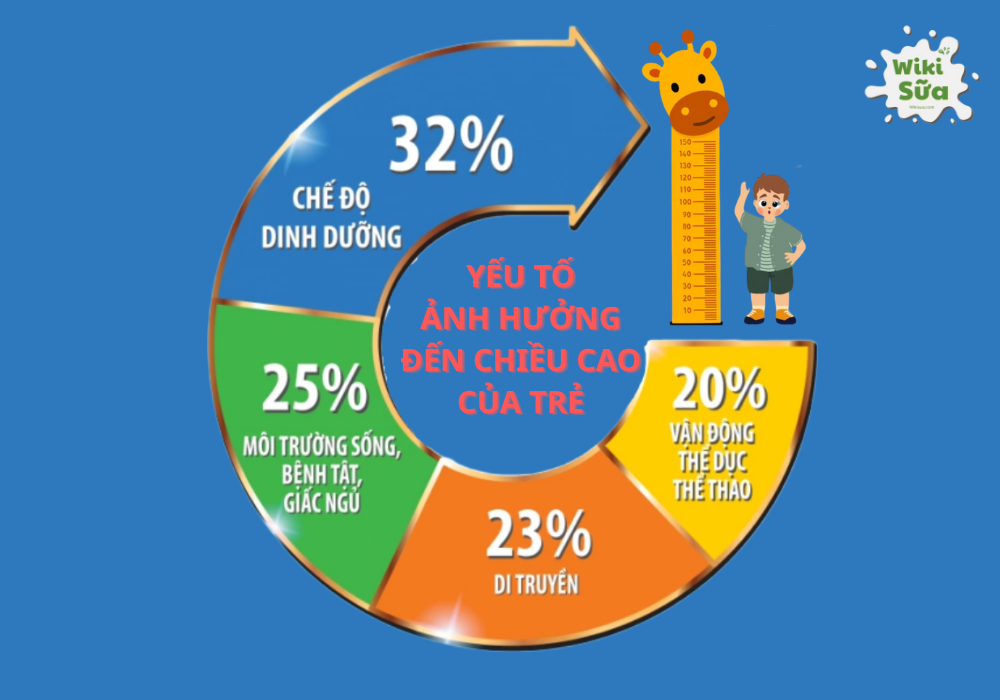 Các yếu tố ảnh hưởng đến chiều cao của trẻ dậy thì