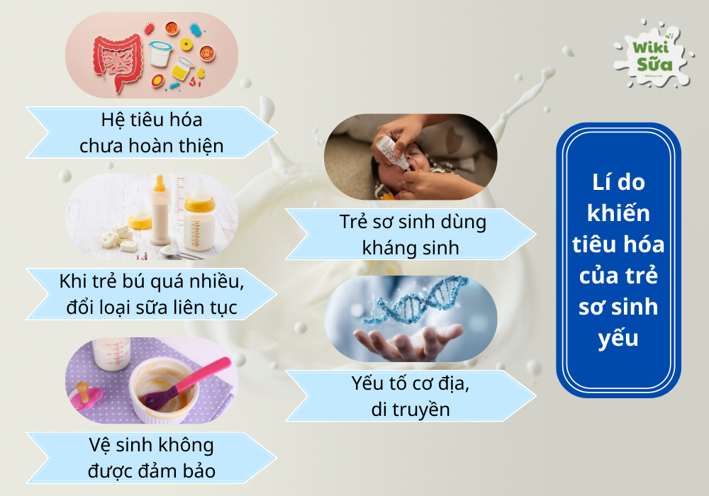 Nguyên nhân khiến hệ tiêu hóa của trẻ sơ sinh yếu