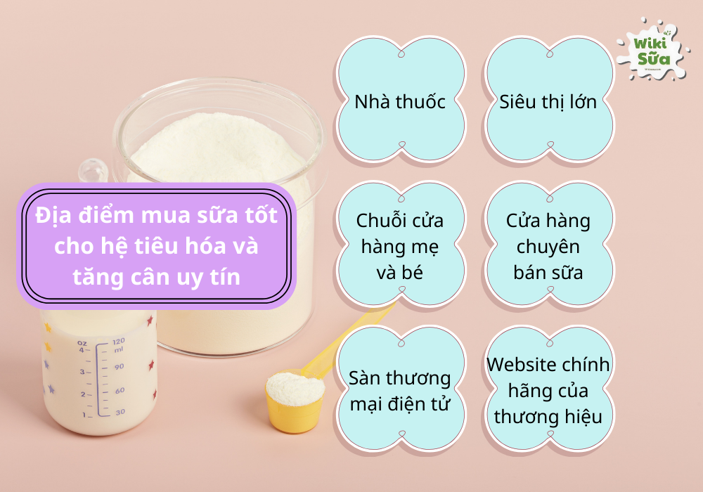 Địa điểm mua sữa tốt cho hệ tiêu hóa và tăng cân uy tín