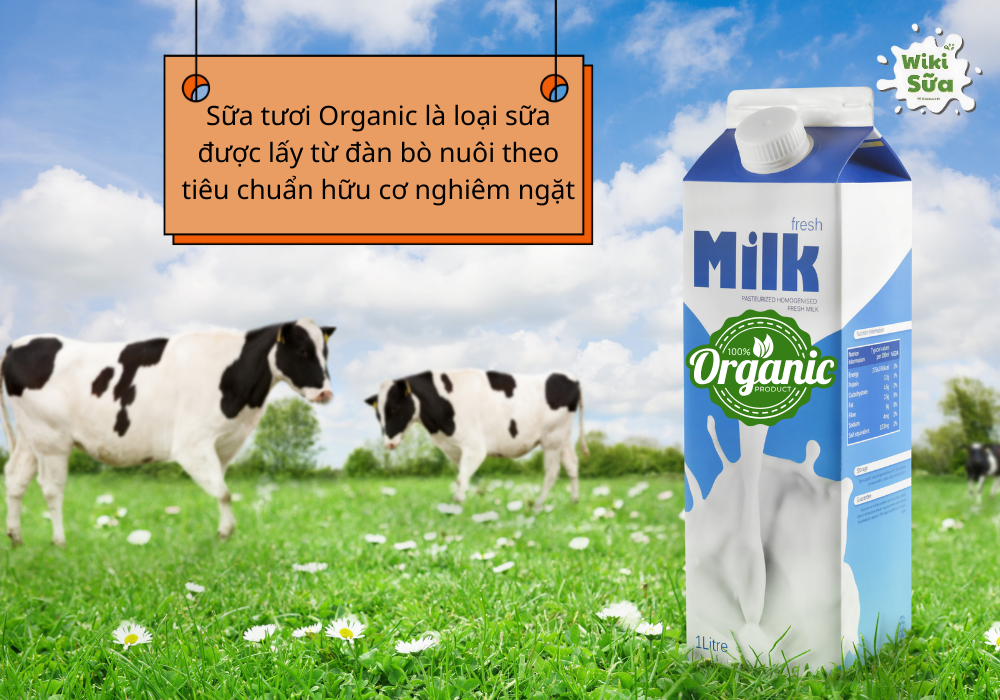 Định nghĩa sữa tươi Organic 