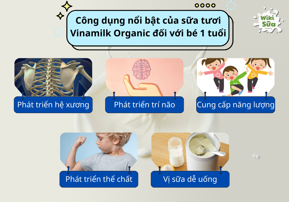 Công dụng nổi bật của sữa tươi Vinamilk Organic đối với bé 1 tuổi 
