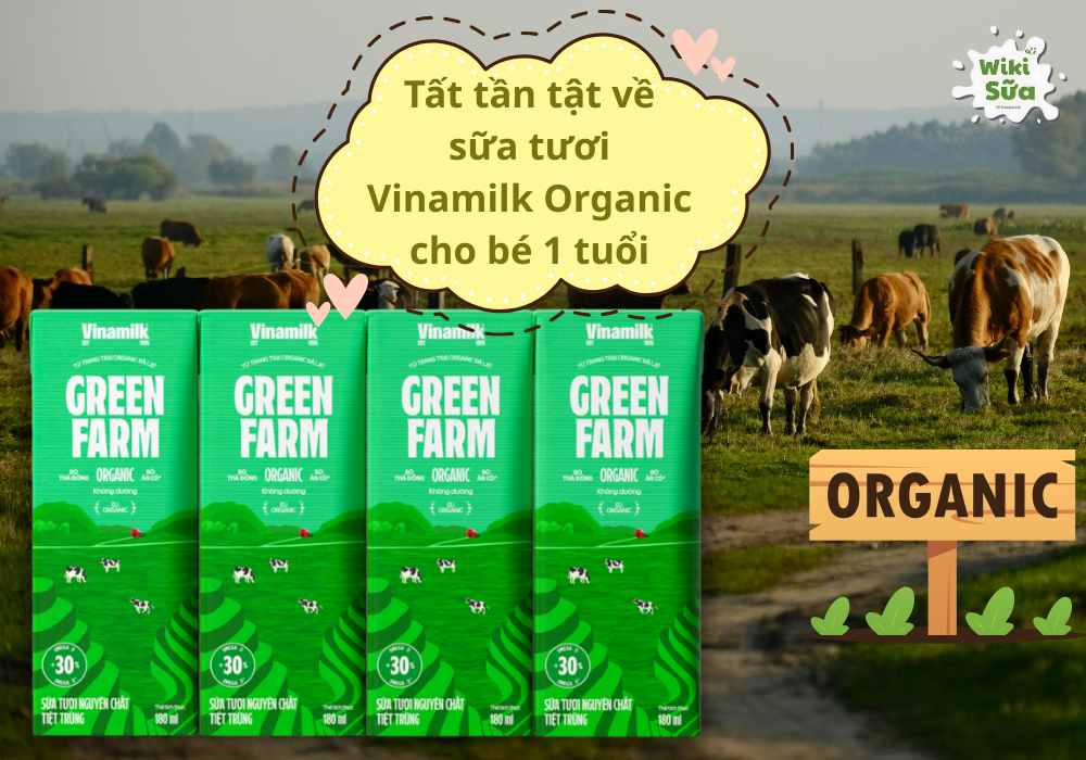 Tất tần tật về sữa tươi Vinamilk Organic cho bé 1 tuổi: Lợi ích và lưu ý khi dùng