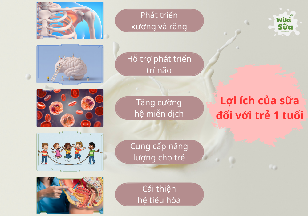 Lợi ích của sữa đối với trẻ 1 tuổi 
