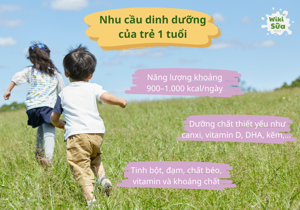 Nhu cầu dinh dưỡng của trẻ 1 tuổi