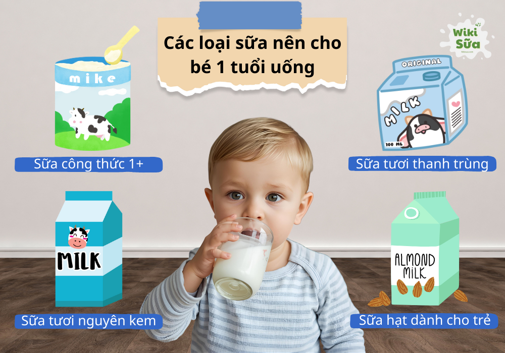 Các loại sữa nên cho bé 1 tuổi uống 