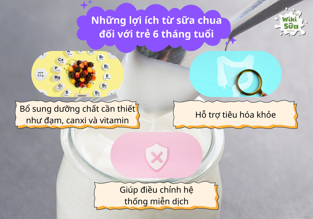 Những lợi ích từ sữa chua đối với trẻ 6 tháng tuổi