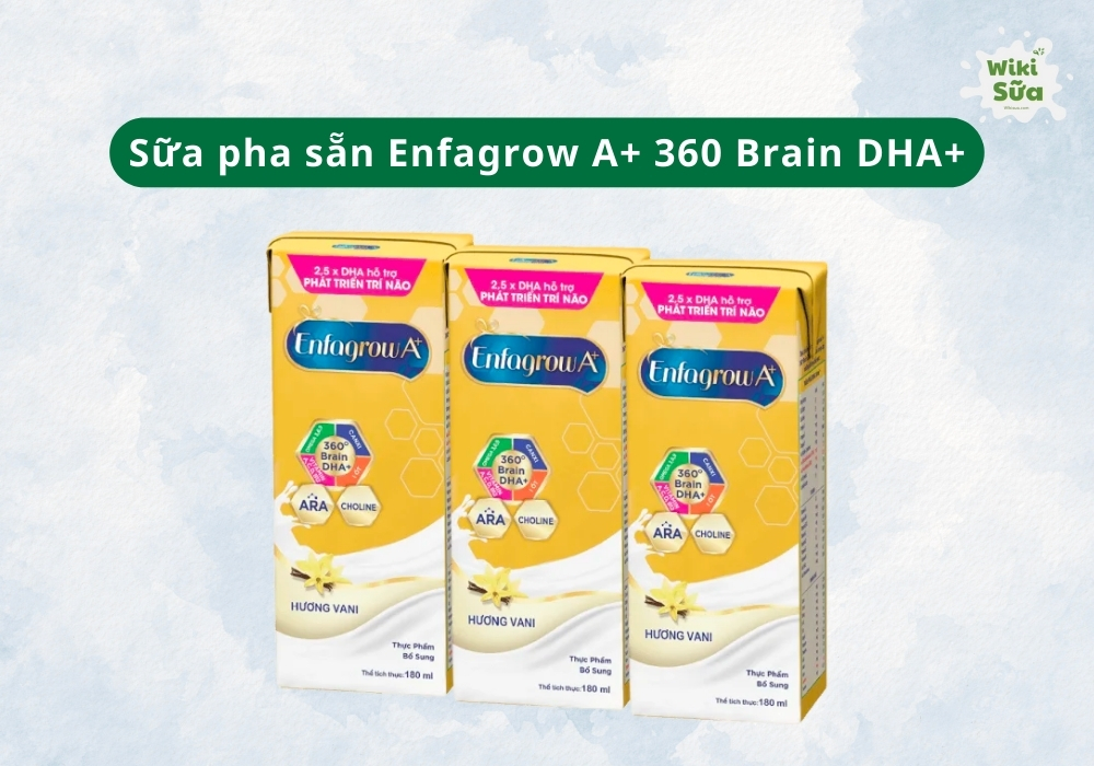 Sữa hộp pha sẵn Enfagrow A+ 360 Brain DHA+ là dòng sữa cao cấp từ Mỹ, dành cho trẻ từ 1 tuổi trở lên