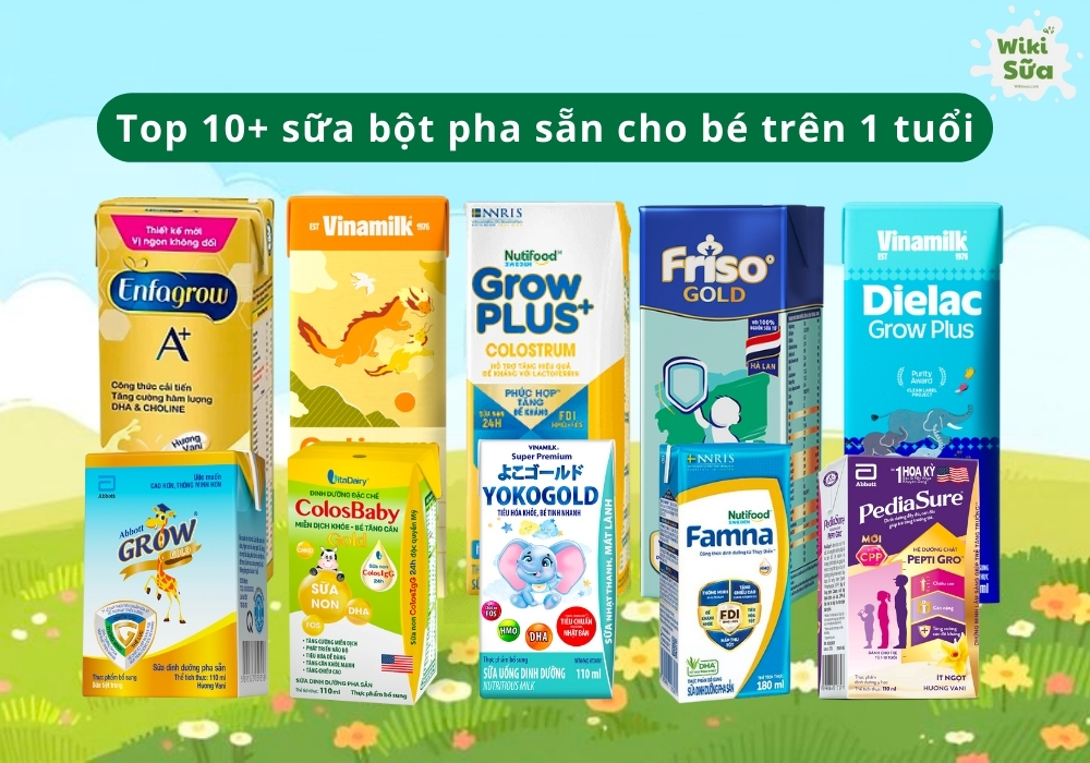 Top 10+ sữa bột pha sẵn cho bé trên 1 tuổi tốt nhất, mẹ nên biết