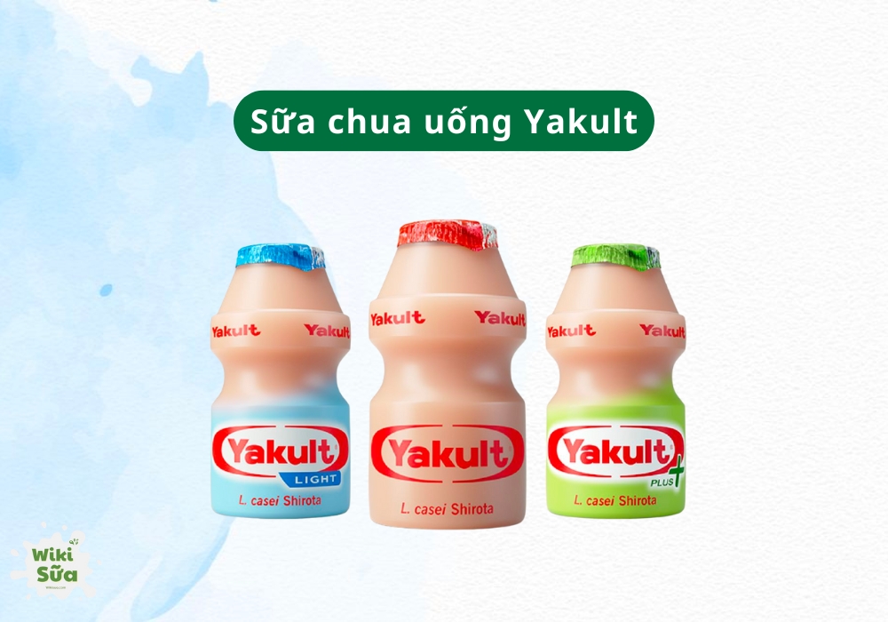 Sữa chua uống Yakult là lựa chọn lý tưởng để hỗ trợ tiêu hóa, cân bằng hệ vi sinh và tăng sức đề kháng cho bé từ 1 tuổi.