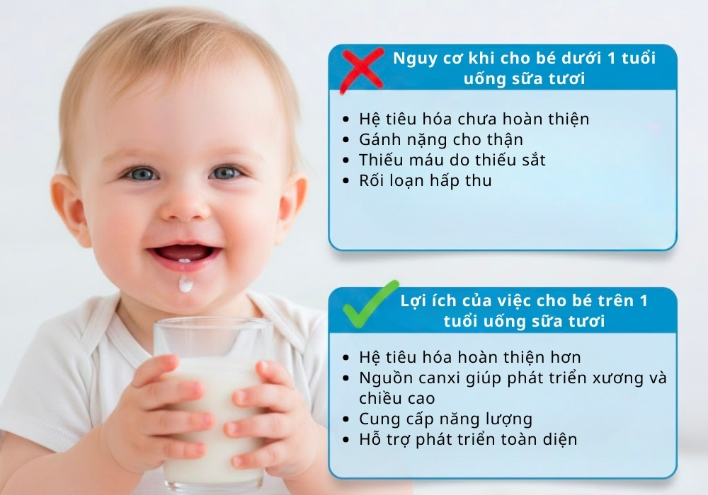 Sữa tươi là nguồn dinh dưỡng tuyệt vời cho trẻ từ 1 tuổi trở lên