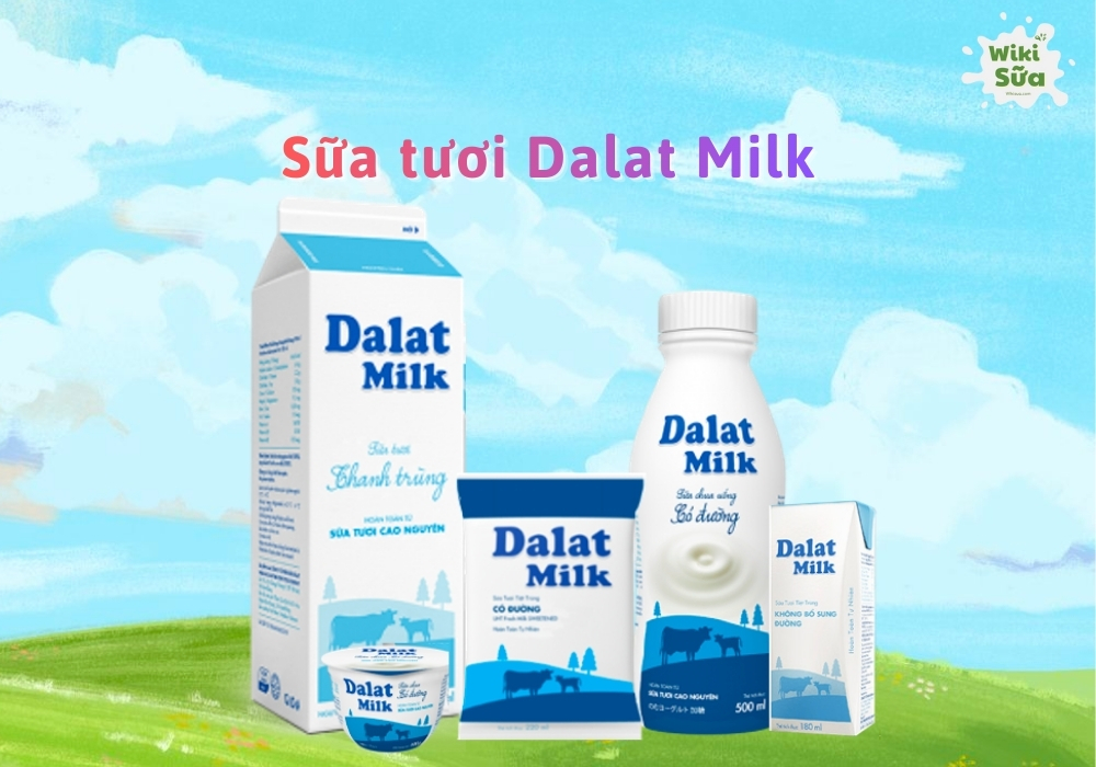 Sữa tươi Dalat Milk dành cho bé 1 tuổi hỗ trợ tăng cân, xương chắc khỏe và trí não nhạy bén