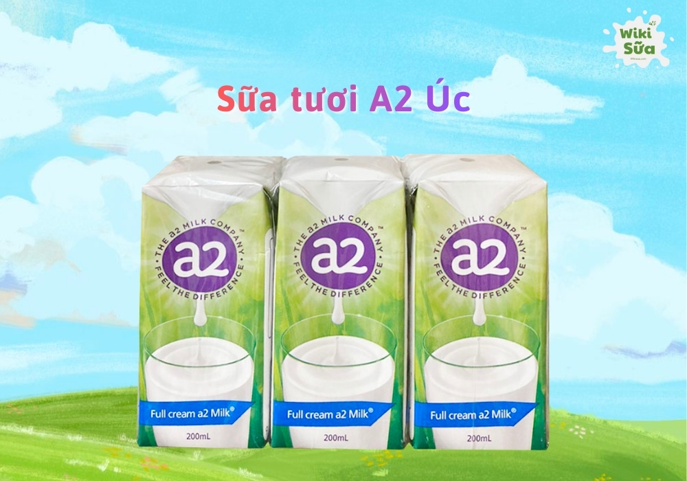 Sữa tươi A2 Úc dễ tiêu hóa, thích hợp trẻ từ 1 tuổi dị ứng đạm bò hoặc không dung nạp lactose, hỗ trợ tăng cân, xương chắc khỏe và trí não phát triển