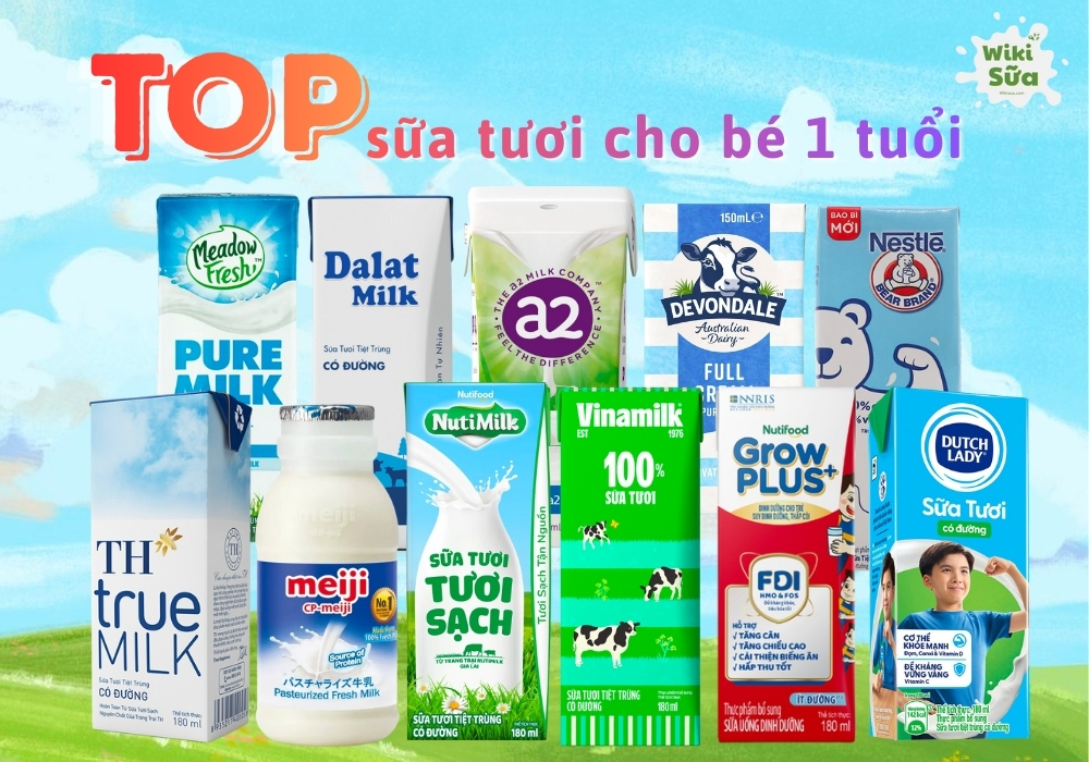 TOP 11 sữa tươi cho bé 1 tuổi tốt giúp tăng cân, phát triển toàn diện