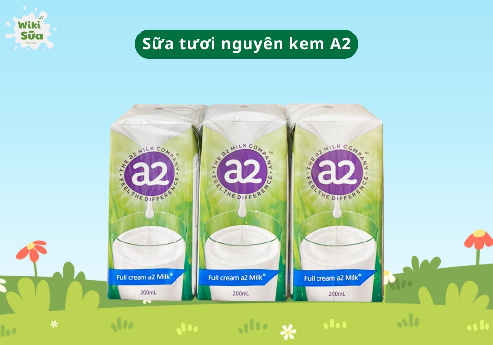 Sữa tươi nguyên kem A2 cho bé 1 tuổi phù hợp với bé nhạy cảm đạm sữa bò, hỗ trợ tiêu hóa tốt và phát triển trí não