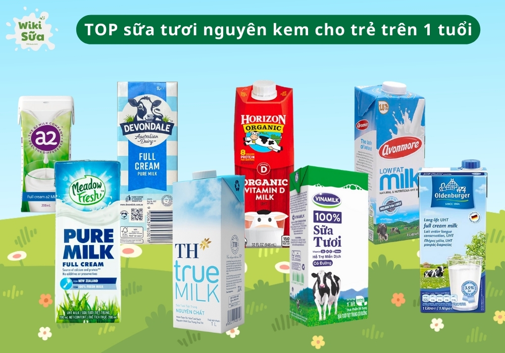 TOP 5+ loại sữa tươi nguyên kem cho trẻ trên 1 tuổi tốt nhất
