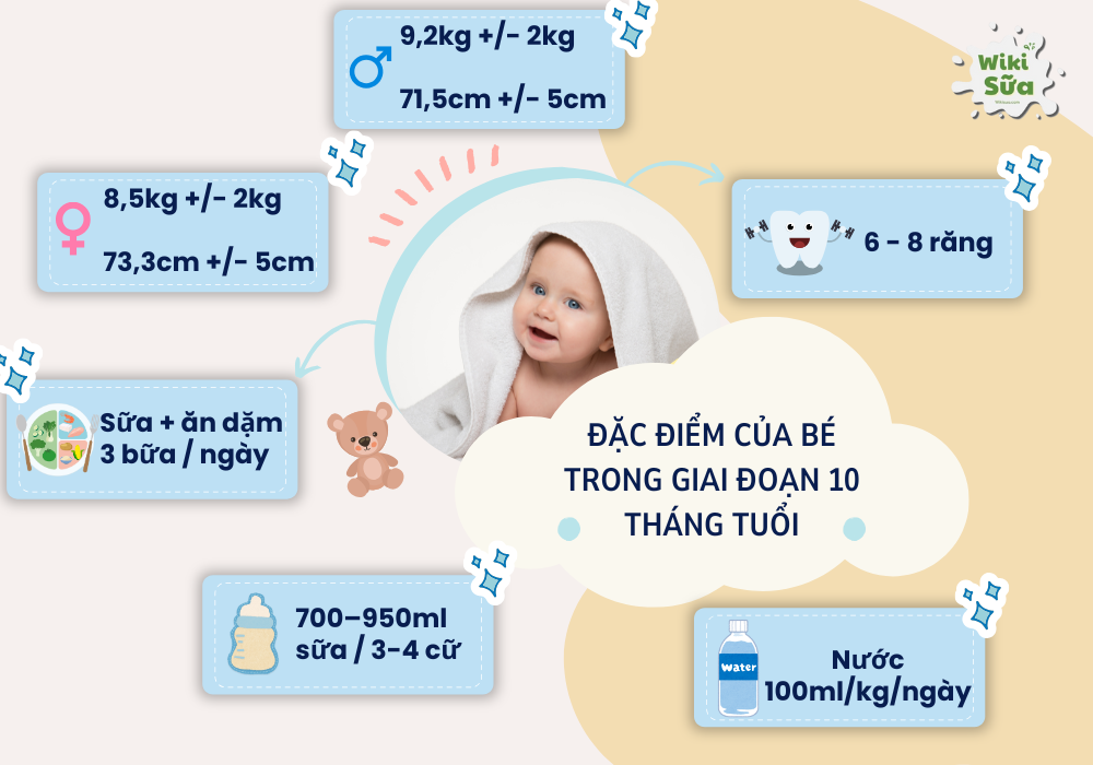 Đặc điểm của bé trong giai đoạn 10 tháng tuổi mẹ cần quan tâm