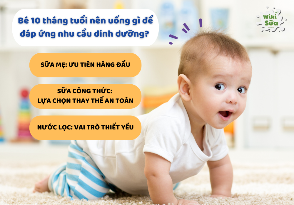 Tìm hiểu nhu cầu dinh dưỡng cho bé 10 tháng tuổi