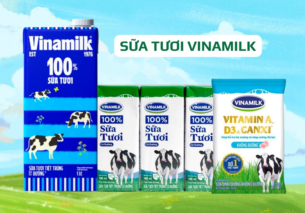 Sữa tươi Vinamilk phù hợp với người trưởng thành khỏe mạnh, muốn bổ sung năng lượng hằng ngày.