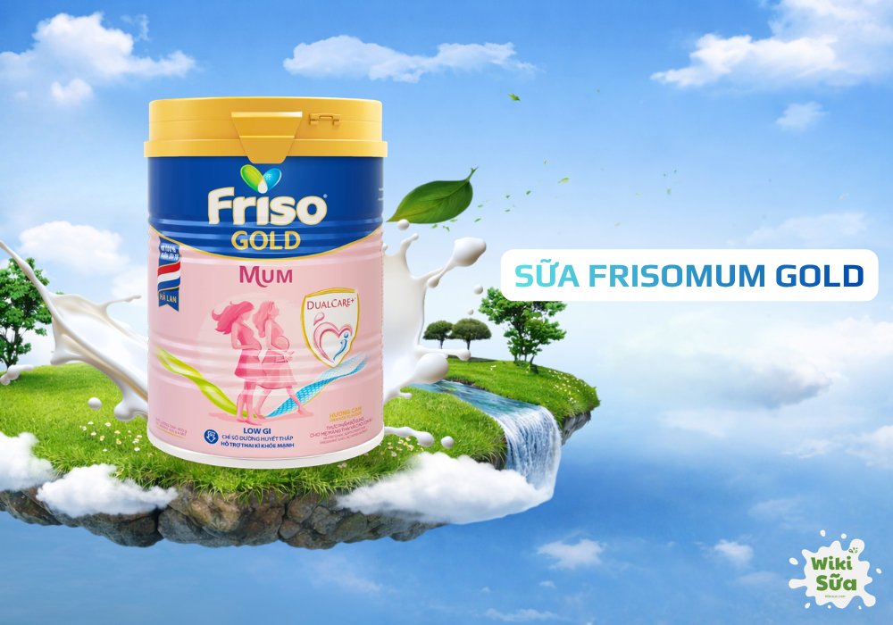 Sữa Frisomum Gold – cân bằng dinh dưỡng, hỗ trợ phục hồi và nuôi con bằng sữa mẹ.