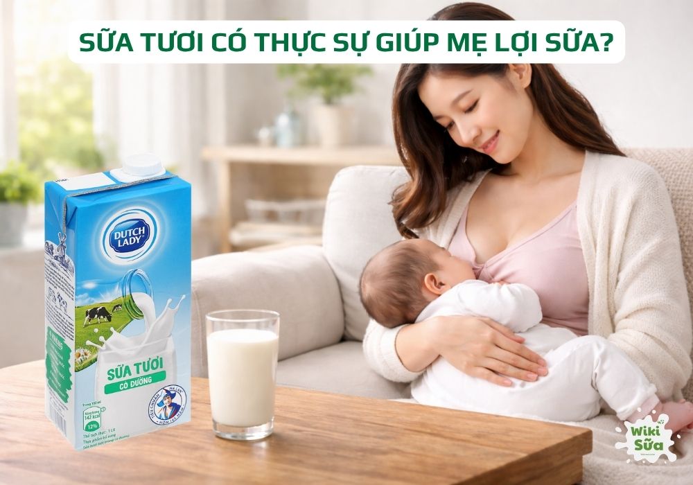 Sữa tươi giúp mẹ sau sinh bổ sung dinh dưỡng, hỗ trợ tạo sữa