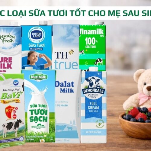 Review các loại sữa tươi tốt cho mẹ sau sinh: Bí quyết lợi sữa, bé tăng cân đều