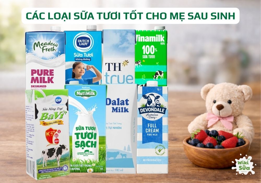 các loại sữa tươi tốt cho mẹ sau sinh