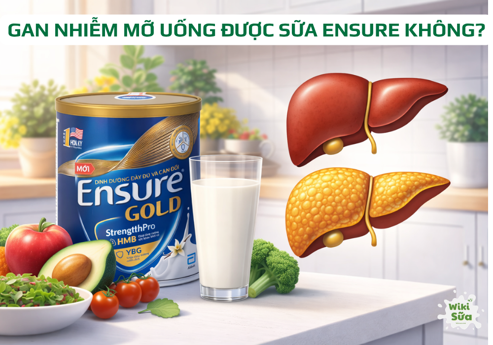 gan nhiễm mỡ uống sữa ensure được không?
