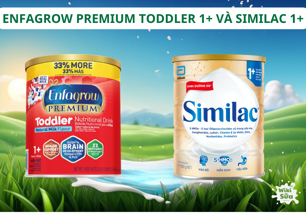 sữa Enfagrow Premium Toddler 1+ và Similac 1+ cho bé từ 1-2 tuổi