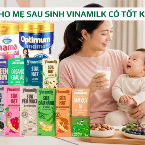 Sữa cho mẹ sau sinh Vinamilk có tốt không? Nên dùng loại nào