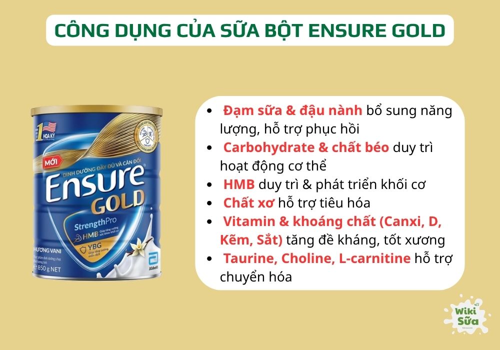 Ensure Gold - Sữa Ensure bột cho người già