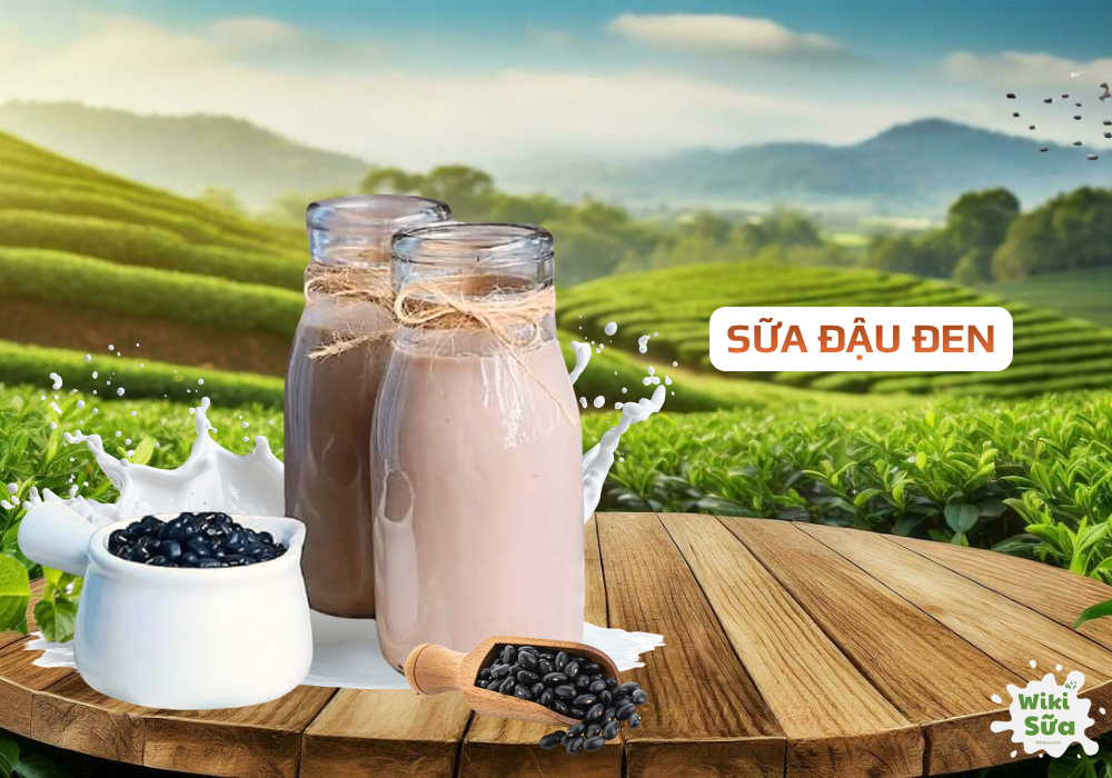 Sữa đậu đen – hỗ trợ lợi sữa và thanh nhiệt cho mẹ sau sinh