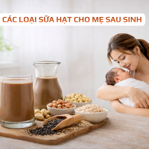 Top 15 loại sữa hạt cho mẹ sau sinh an toàn, giúp lợi sữa mẹ nên tham khảo