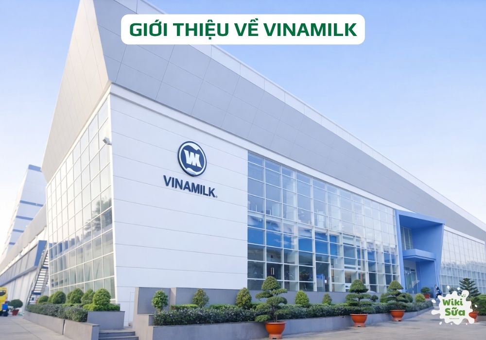 Nhà máy Vinamilk hiện đại, cơ sở sản xuất sữa đạt chuẩn quốc tế