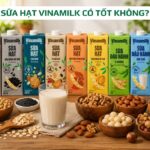 Sữa Hạt Vinamilk Có Tốt Không