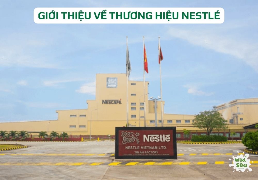 nhà máy nestlé ở trị an